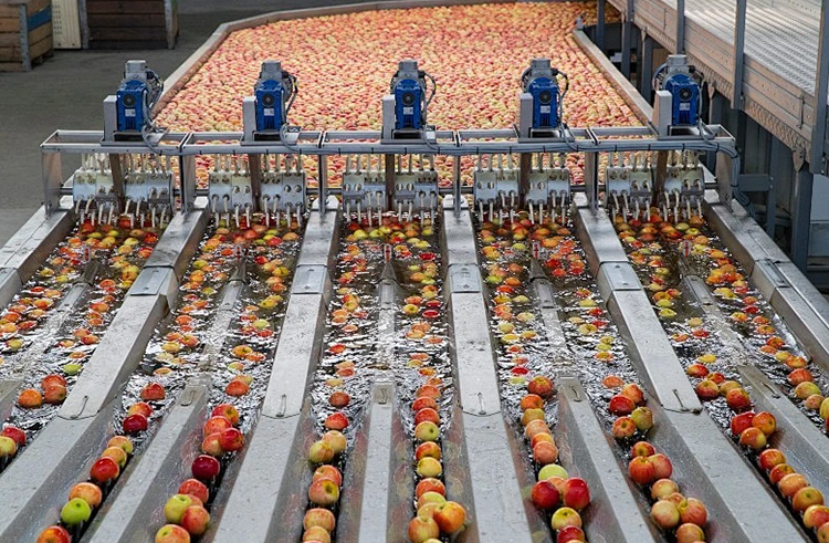 Processflödet för juiceproduktionslinjen